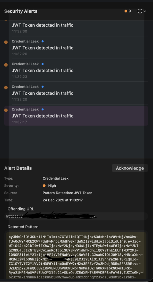 Sandwich Proxy Alert Detail View